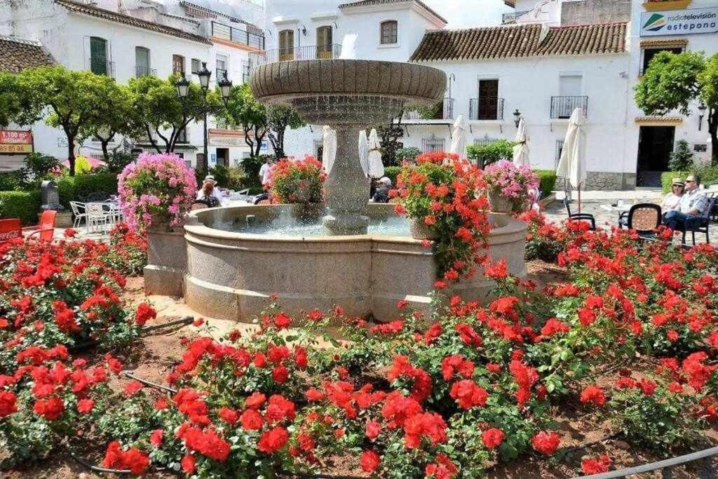 XV Apartamentos Morales & Arnal Estepona Exteriör bild